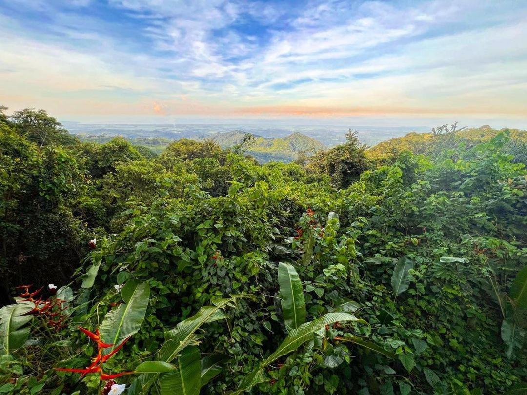 Domos Mirador Romantic Private Honeymoon Glamping Miramar 外观 照片