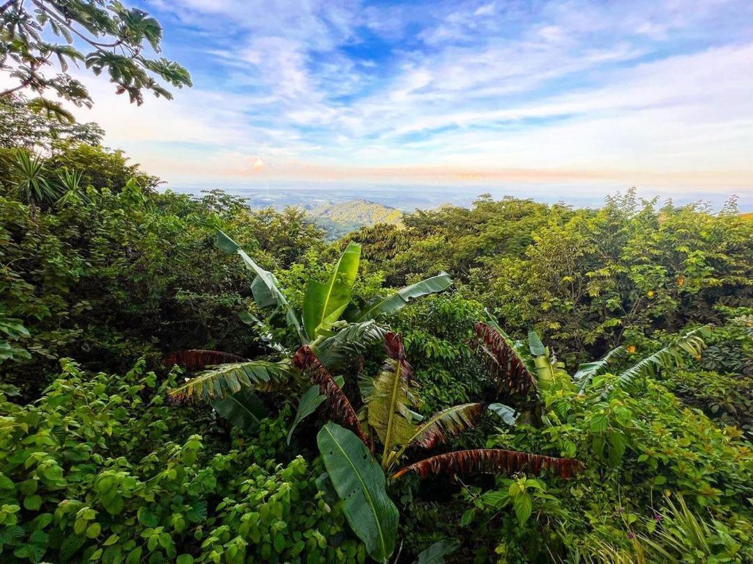 Domos Mirador Romantic Private Honeymoon Glamping Miramar 外观 照片
